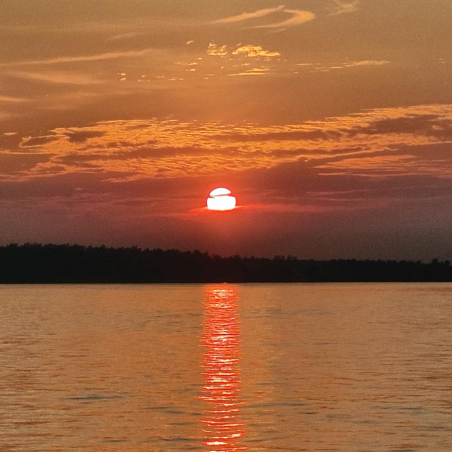 星空夏