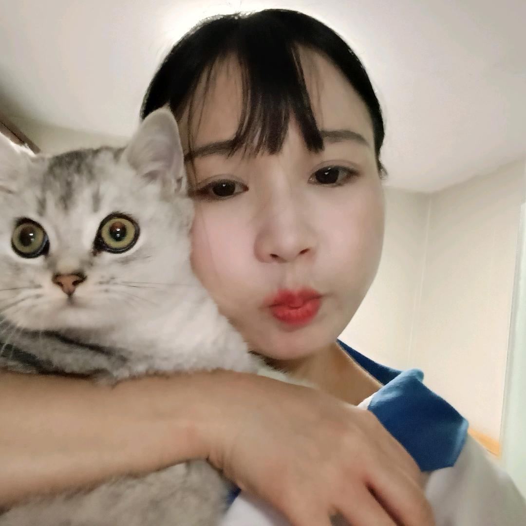 一只猫妖