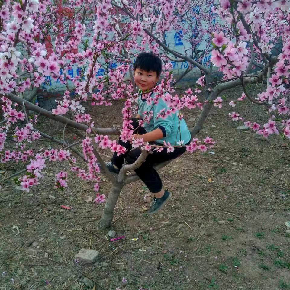 努力向＜＜钱＞＞奔