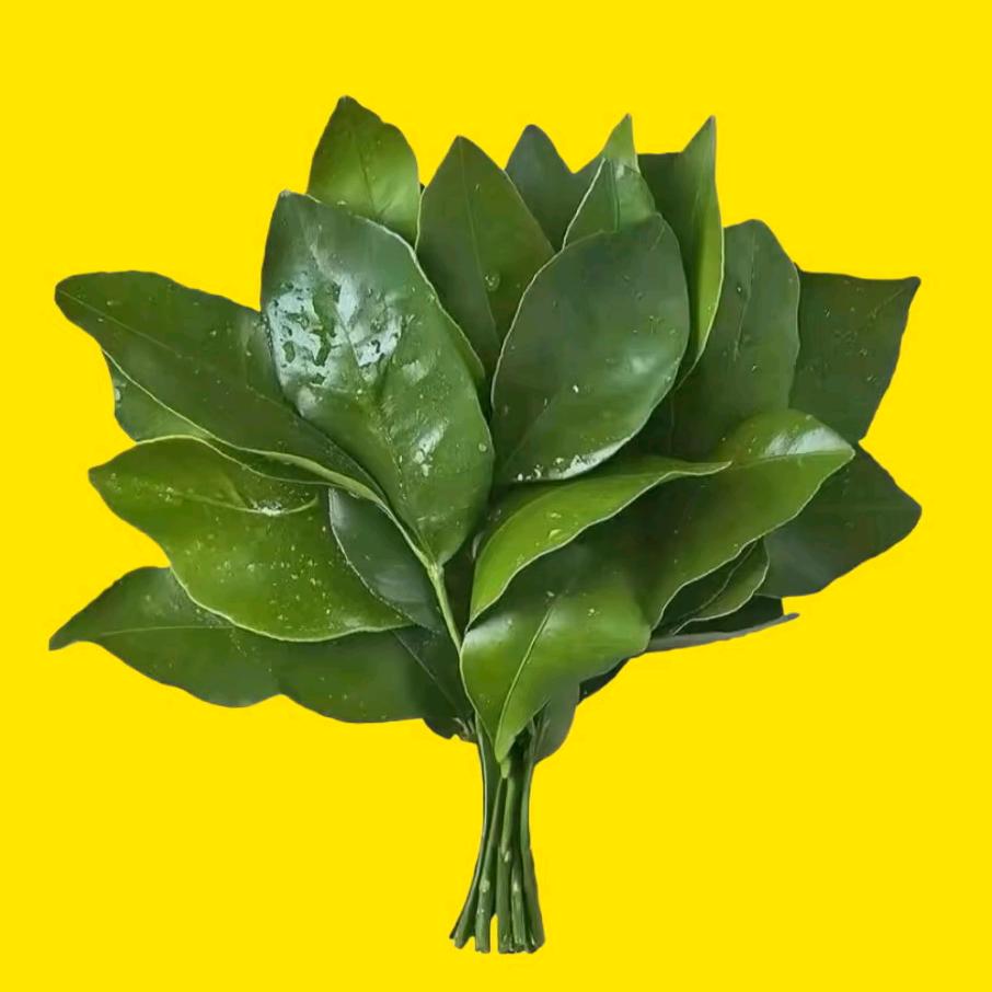 楠音