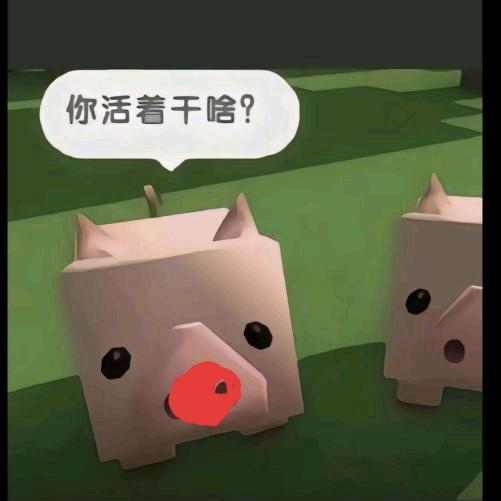 大王66·