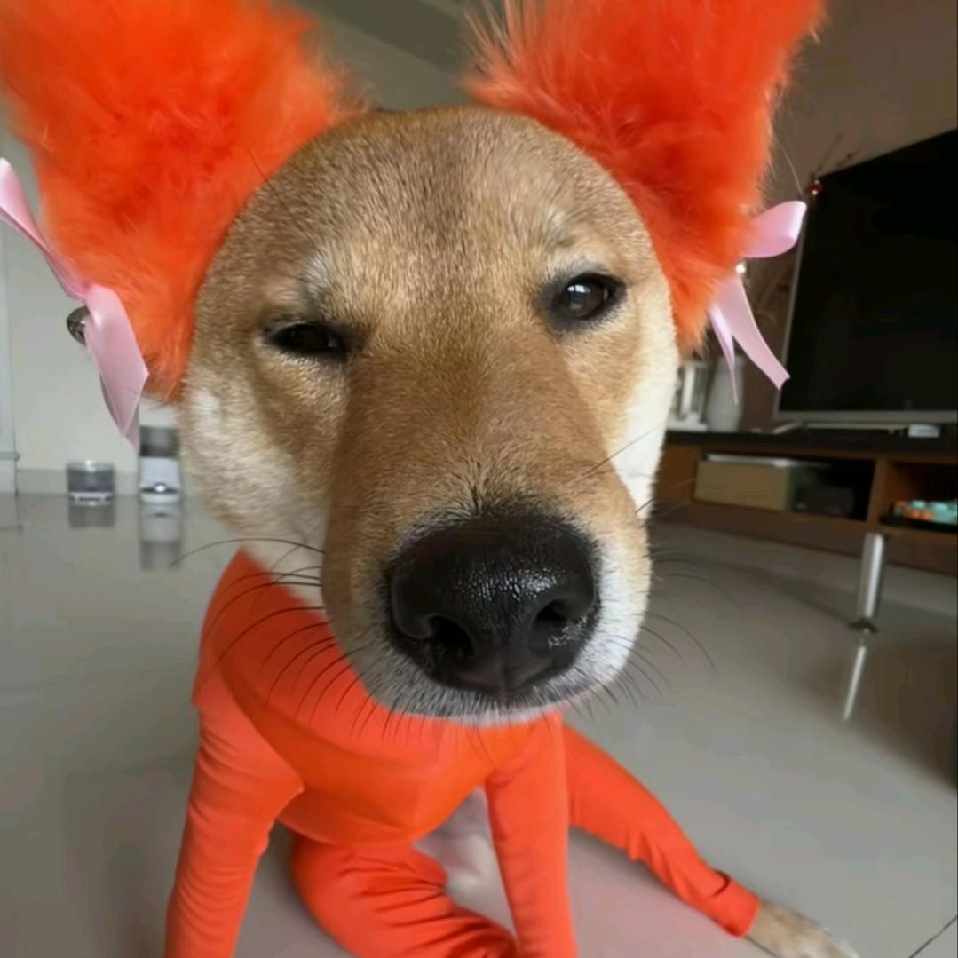 浪屿海