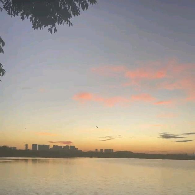 难得糊涂（刘哥喜钓鱼）