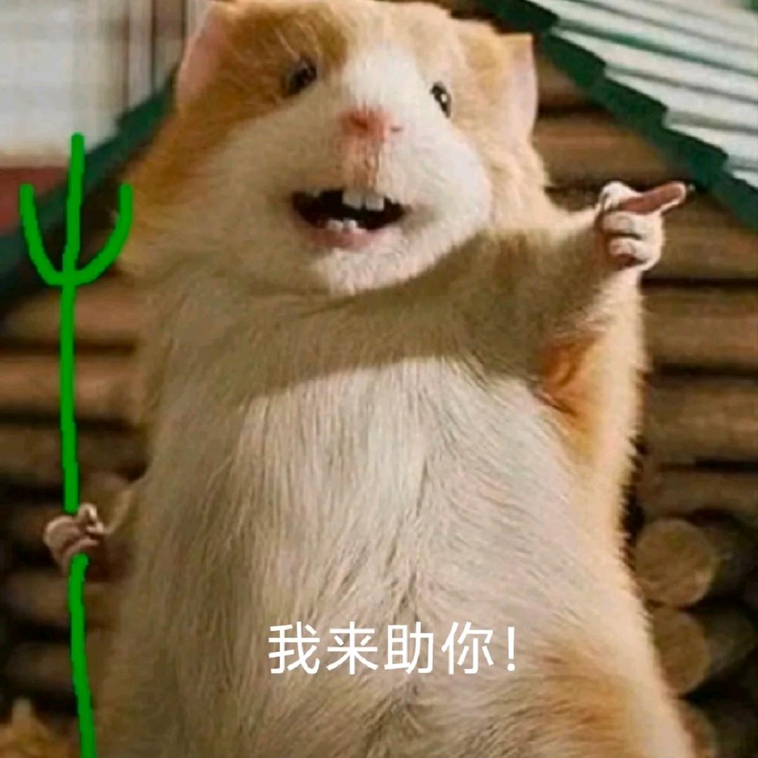 卡米亚的孟思凡头像