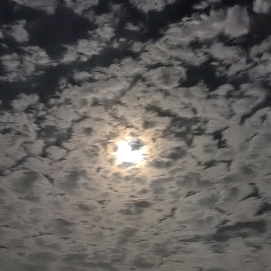 一上班就焦吕先生