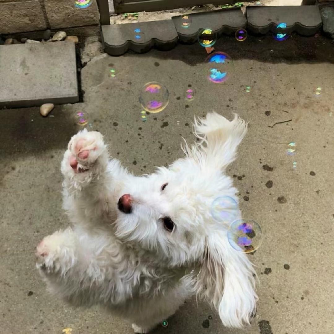 每天都不想写作业