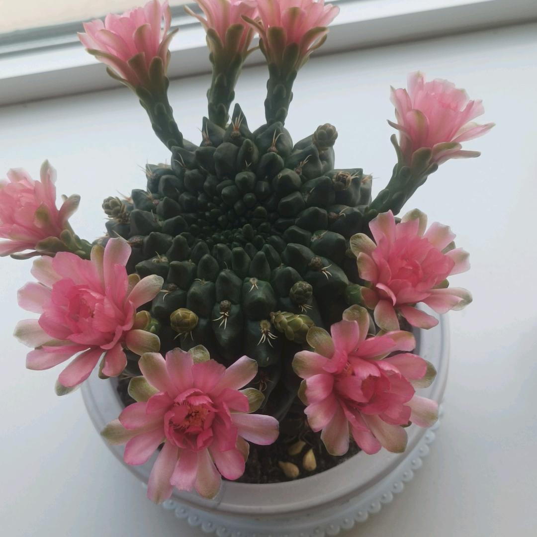简单快乐