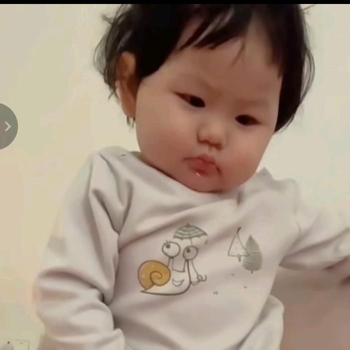 念航