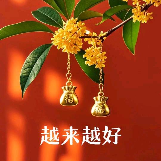 远香绮梦