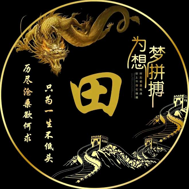 田龙起