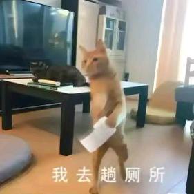 一米