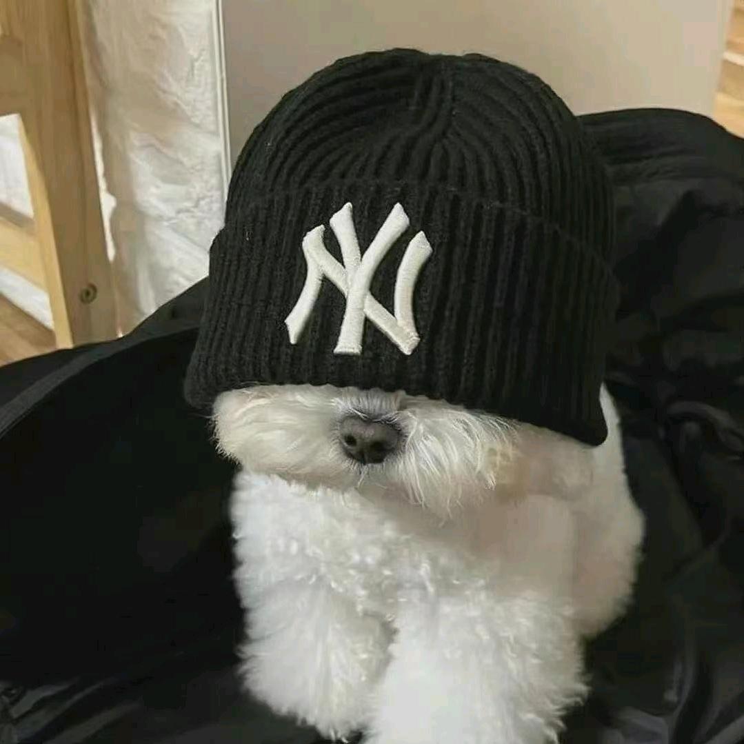 小张~