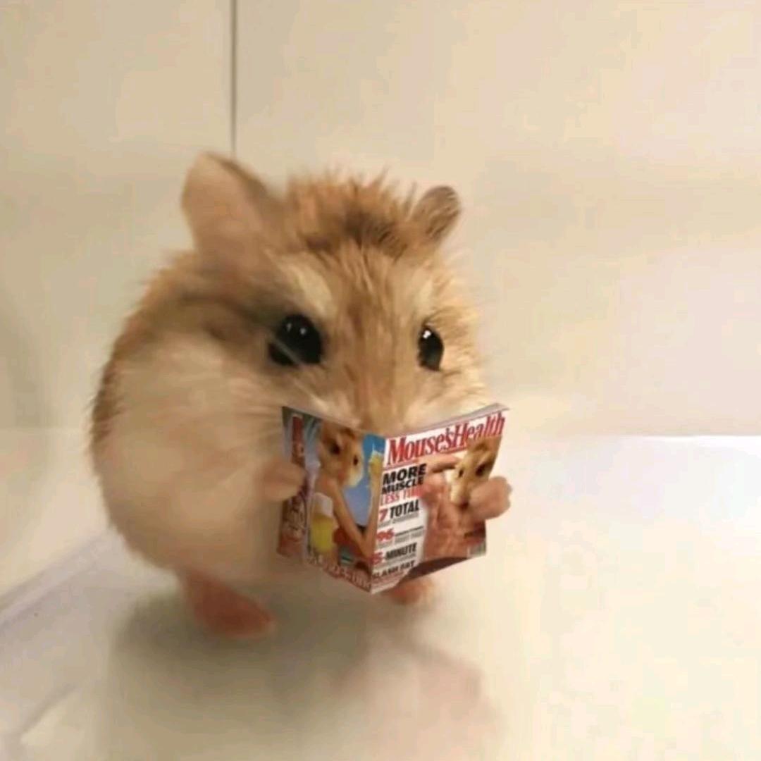 皮蛋solo粥出淤泥而不懒