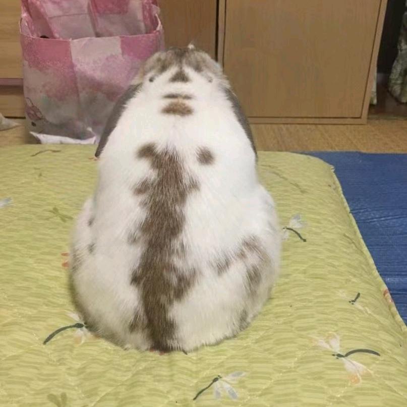 那都的叶逍玄头像