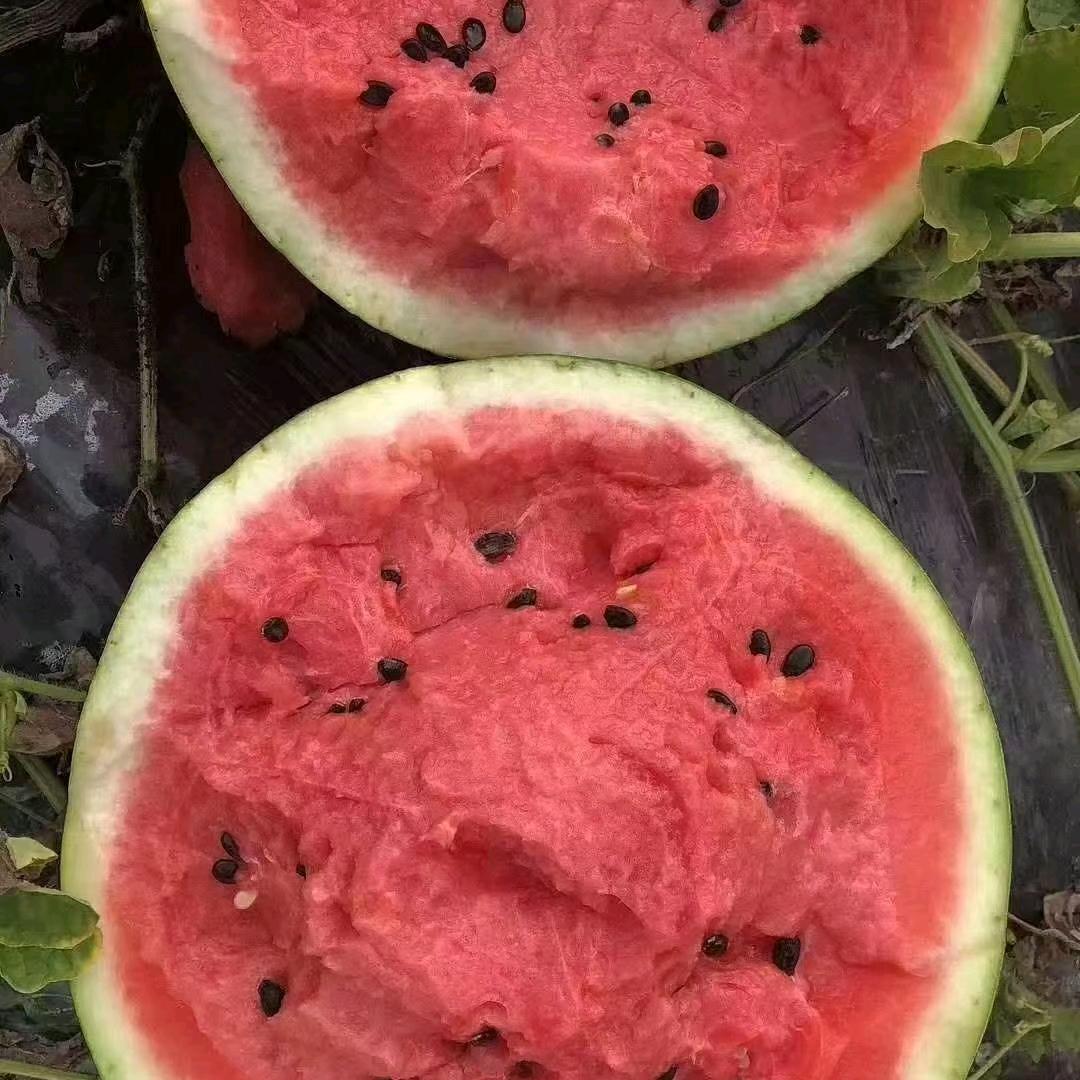 然冉果蔬(小号)