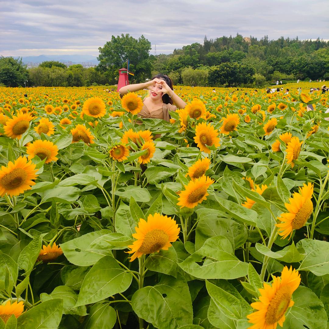 ᭄ꦿ꯭❥⁵²º吴宝贝ꦿ