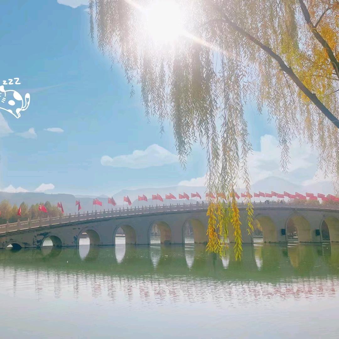 小懒猫爱睡觉