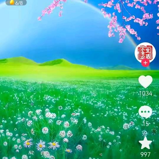 chensuqin