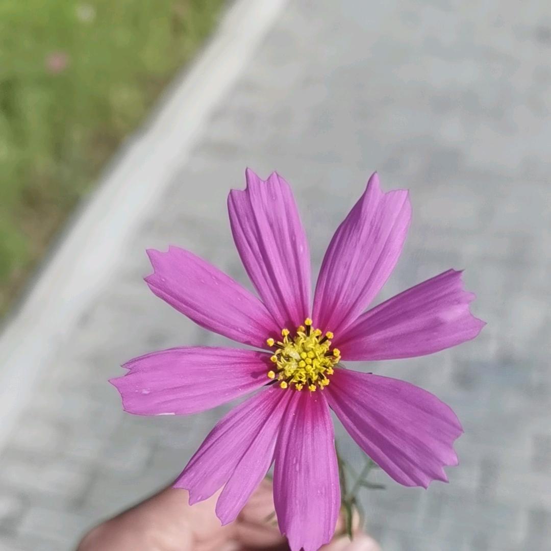 莫叫姐姐