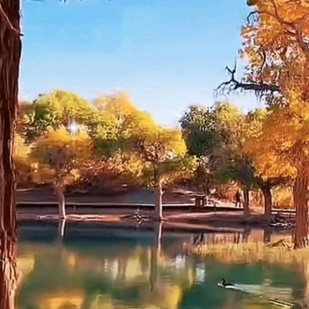 弱水