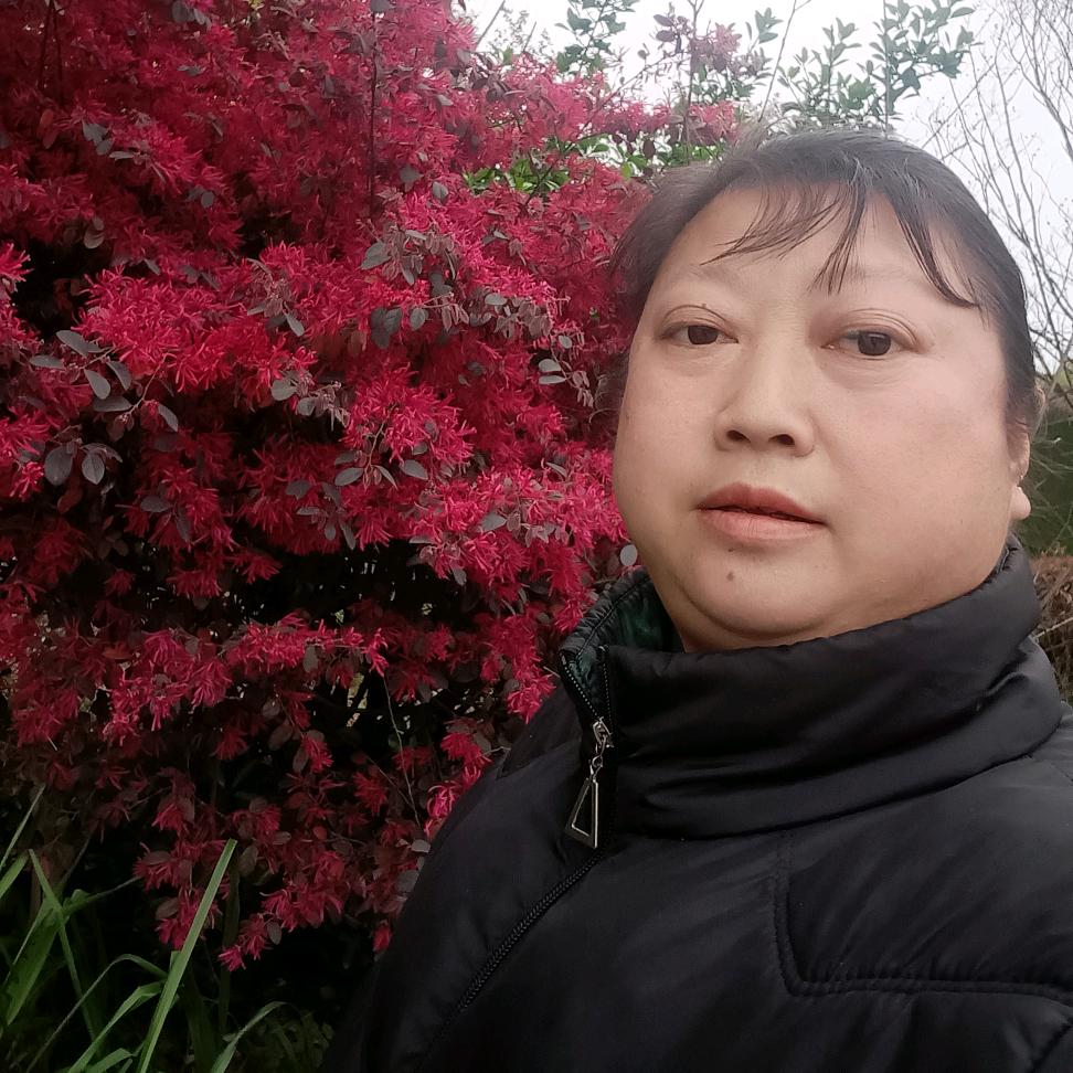 丽丽