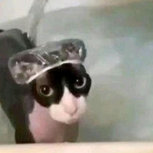 桌椅大仁（还小生流量来..