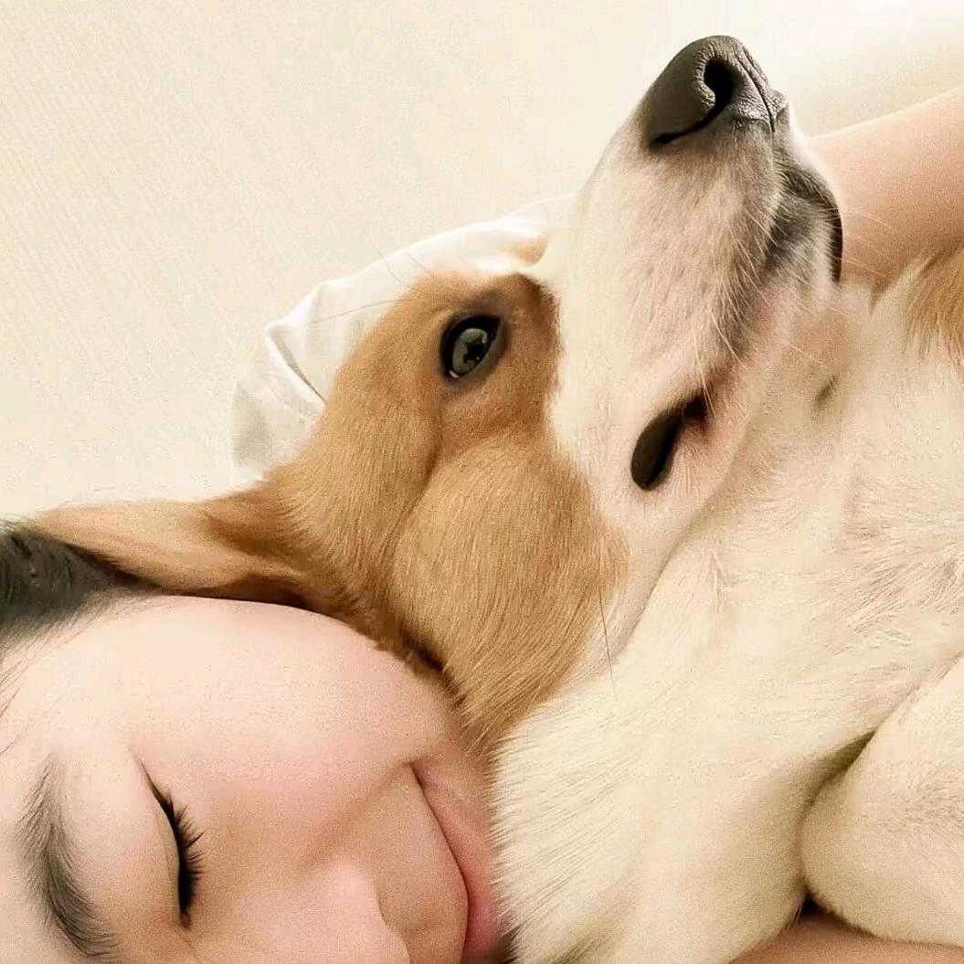 𝐂𝐆𝐔𝐂𝐈.