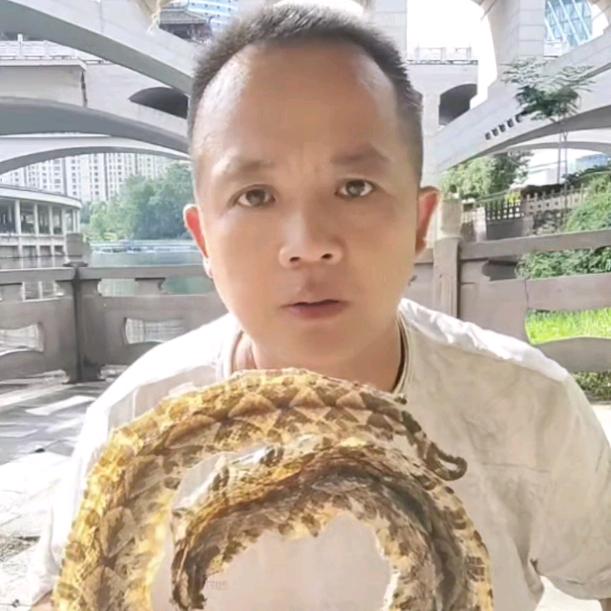 🐍财富起来🌎