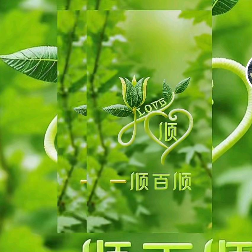 放下1219【幸运】🍎