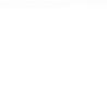 猪肚鸡