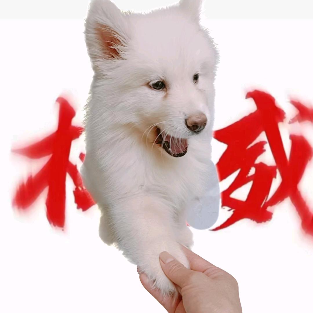 瓦大王🔫🔫🔫