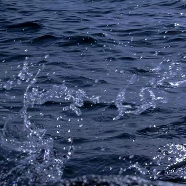 用户1748624008148866