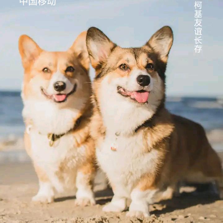 一‘