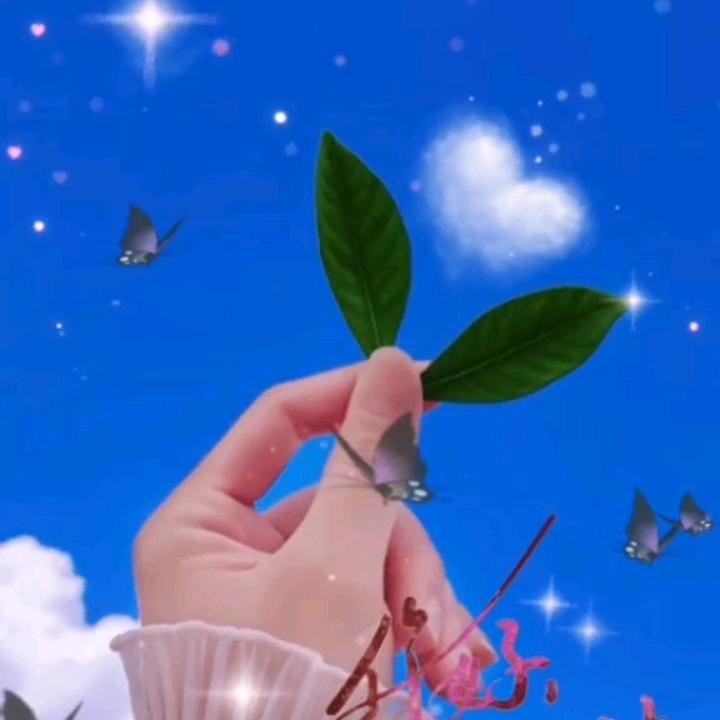 淋雨一直走，拒绝私聊