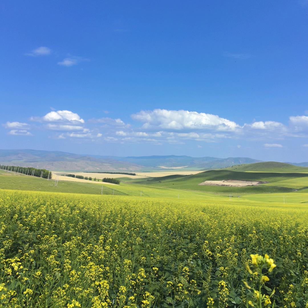 云朵上的棉花糖