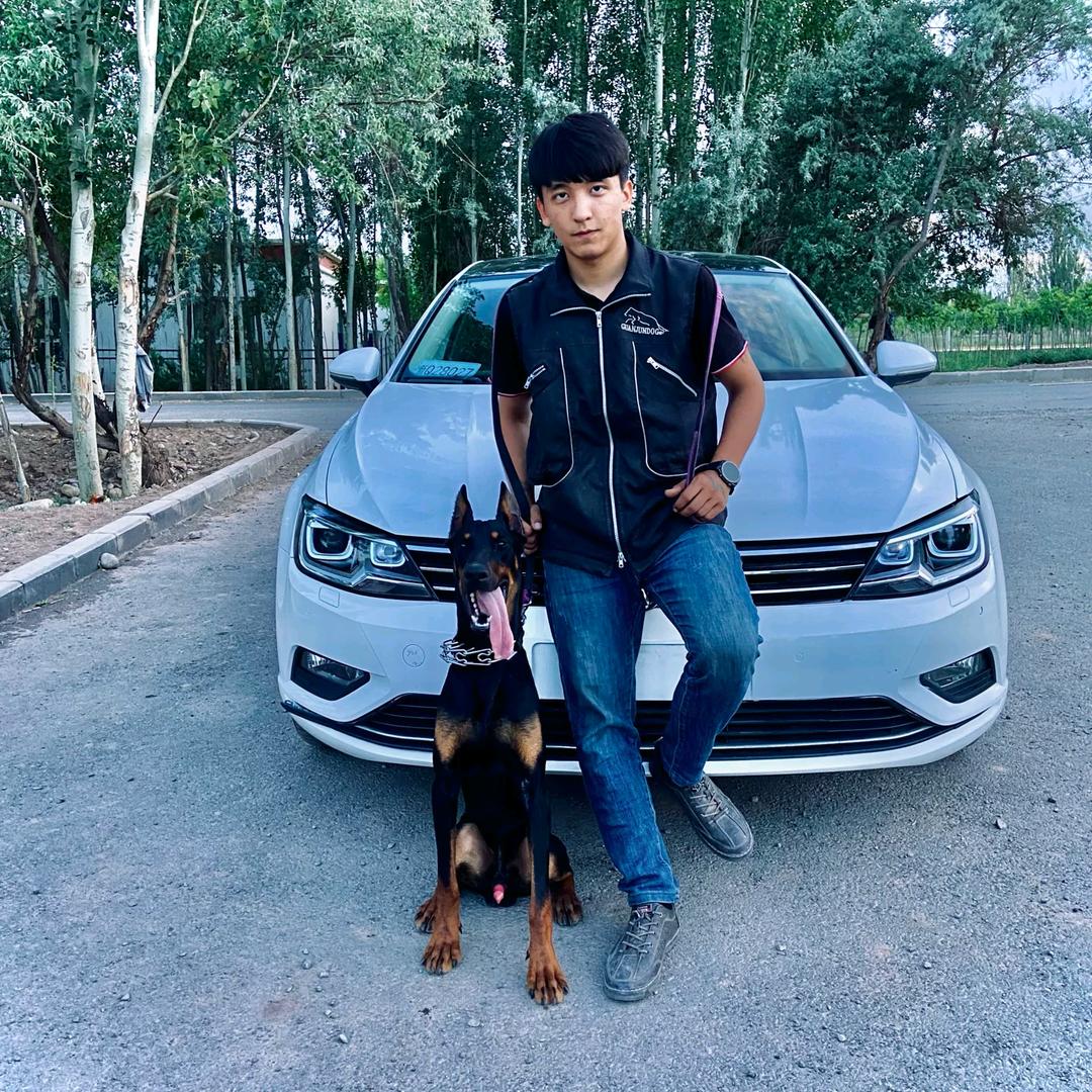 阿布训犬俱乐部🐕k9