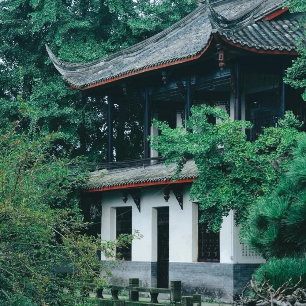 山月与诗