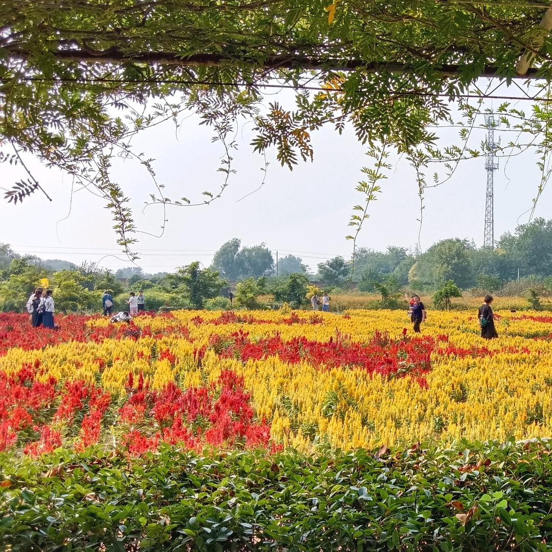开心快乐（蓦然回首）