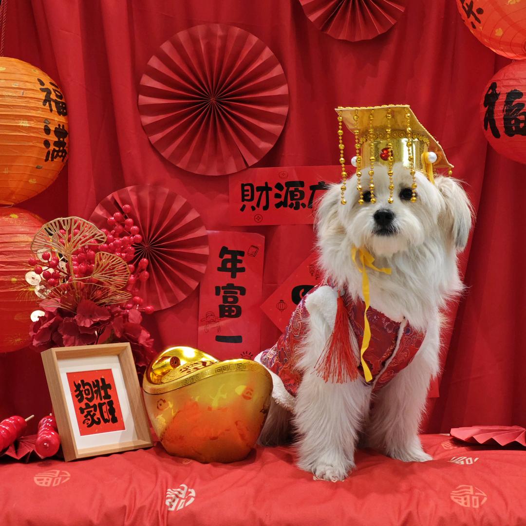 心想事成