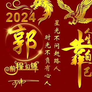 林子大了啥鸟都有