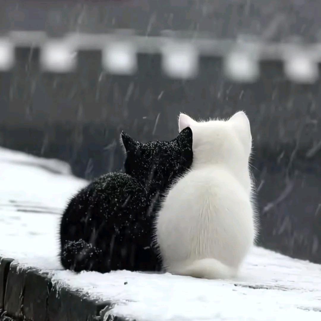 千山。