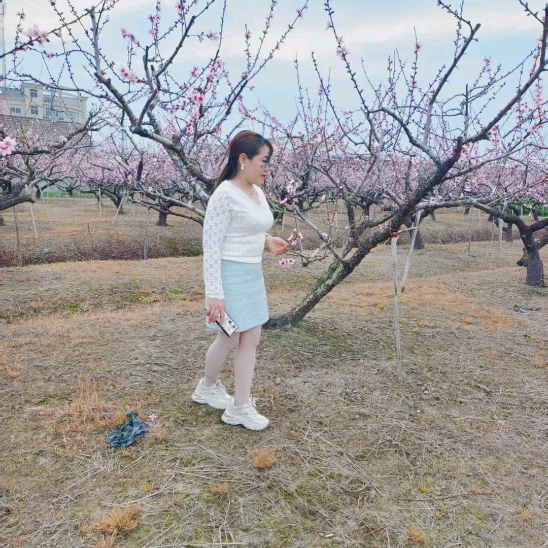 爱笑的四叶草