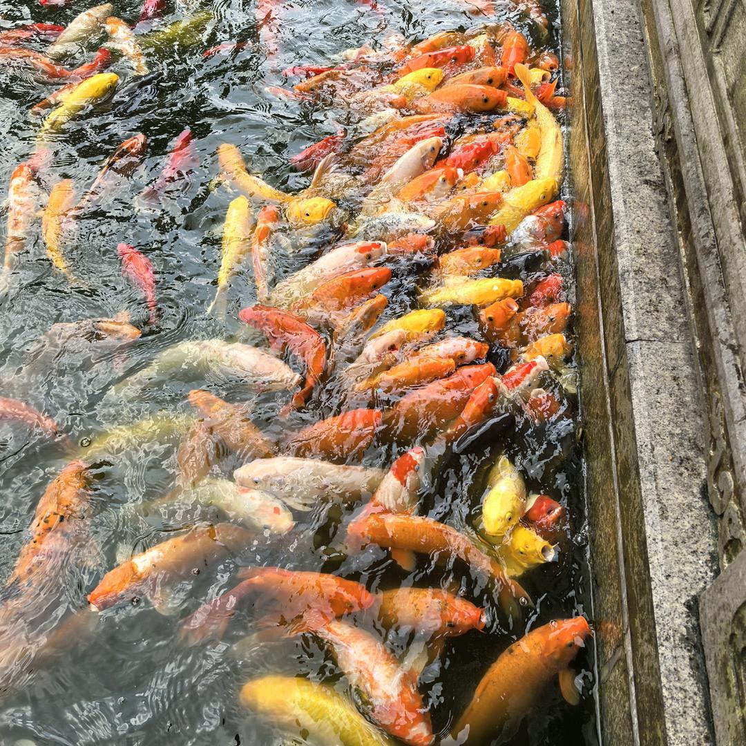 겨울에 눈송이