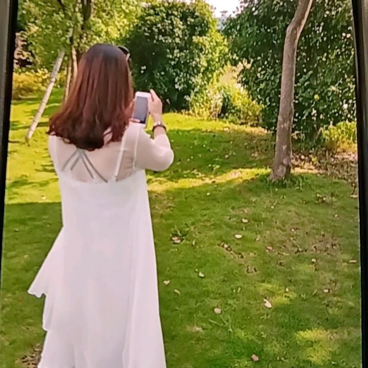 🍊🍊🍊木🍊子
