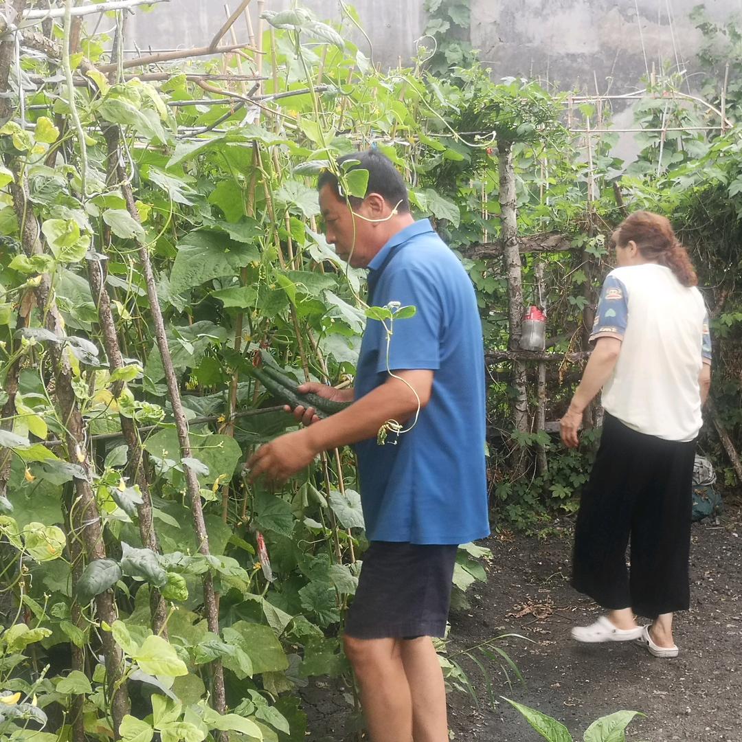 香香姥爷的小菜园