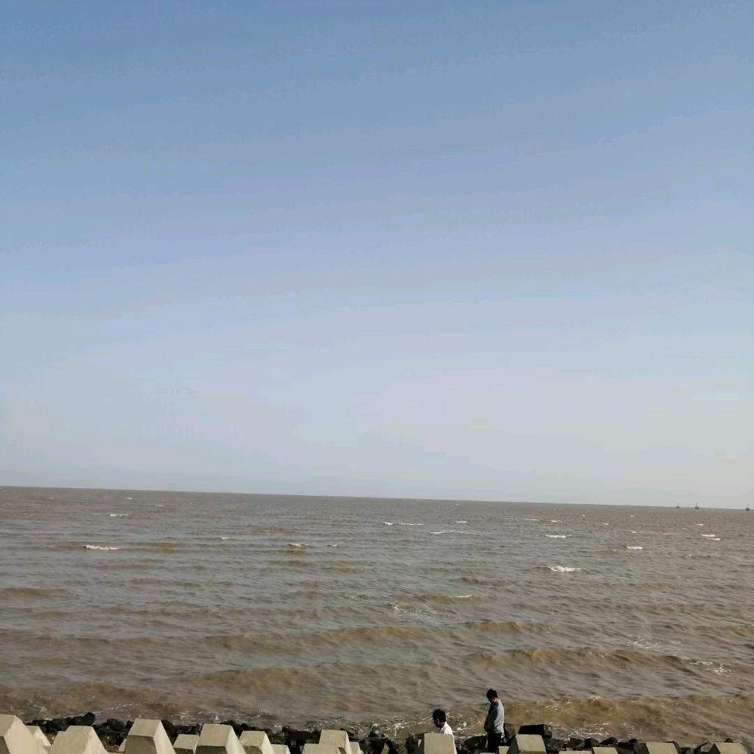 只看不刷，勿扰