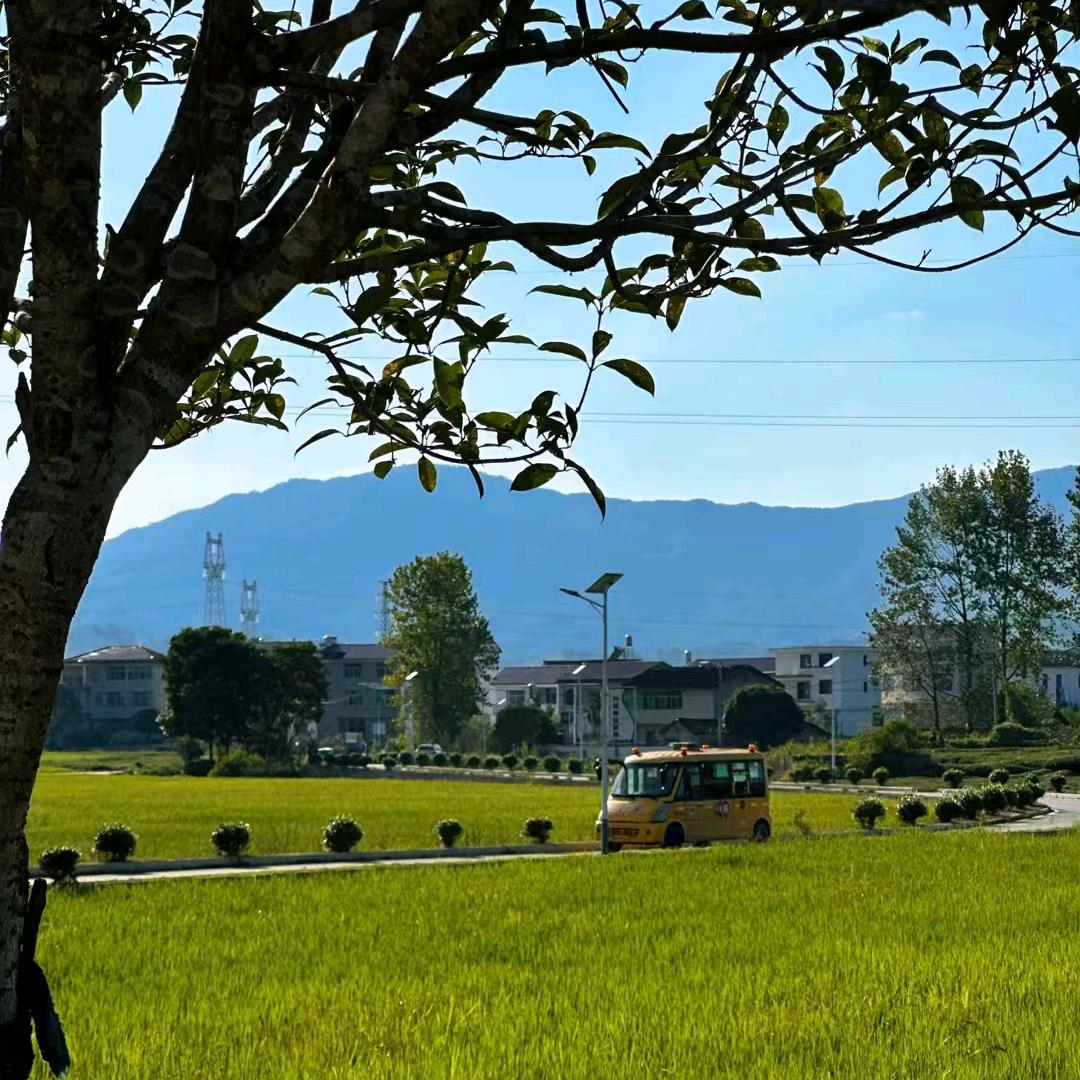 峰回路转