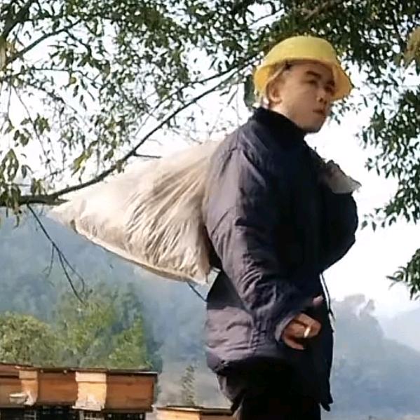 彪哥中蜂养殖