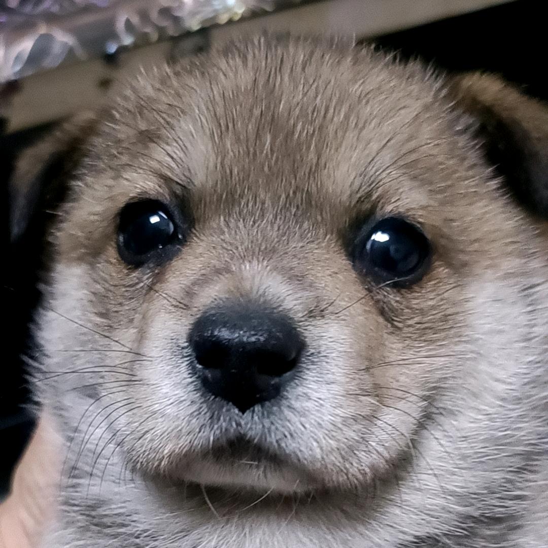 回到春秋斩孔子