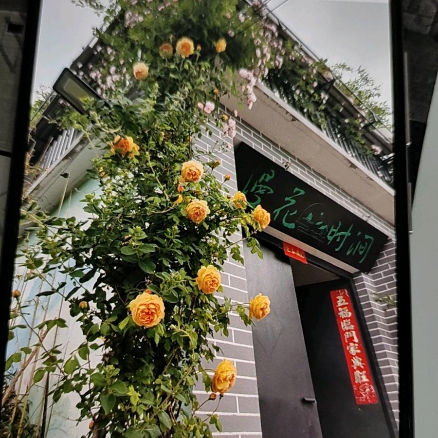 山东～林羲